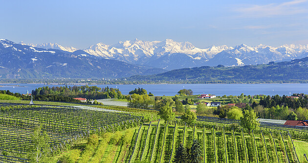 Blick auf den Bodensee und die Schweizer Alpen