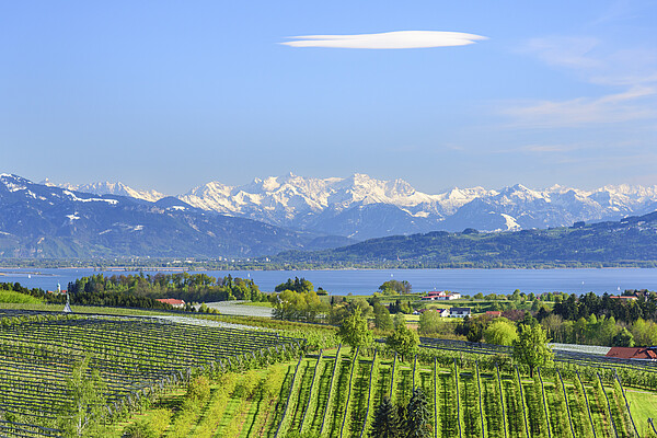 Blick auf den Bodensee und die Schweizer Alpen Blick auf den Bodensee und die Schweizer Alpen