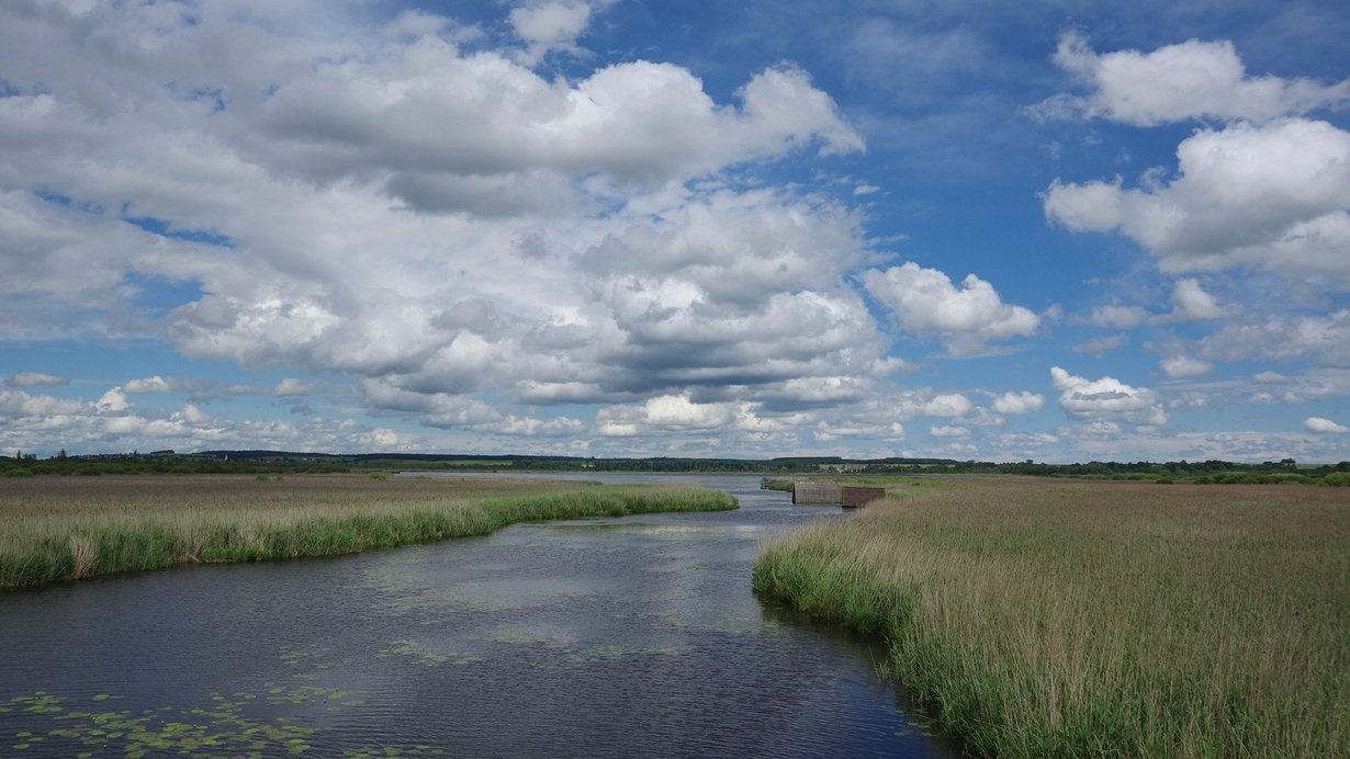 Blick auf den Federsee
