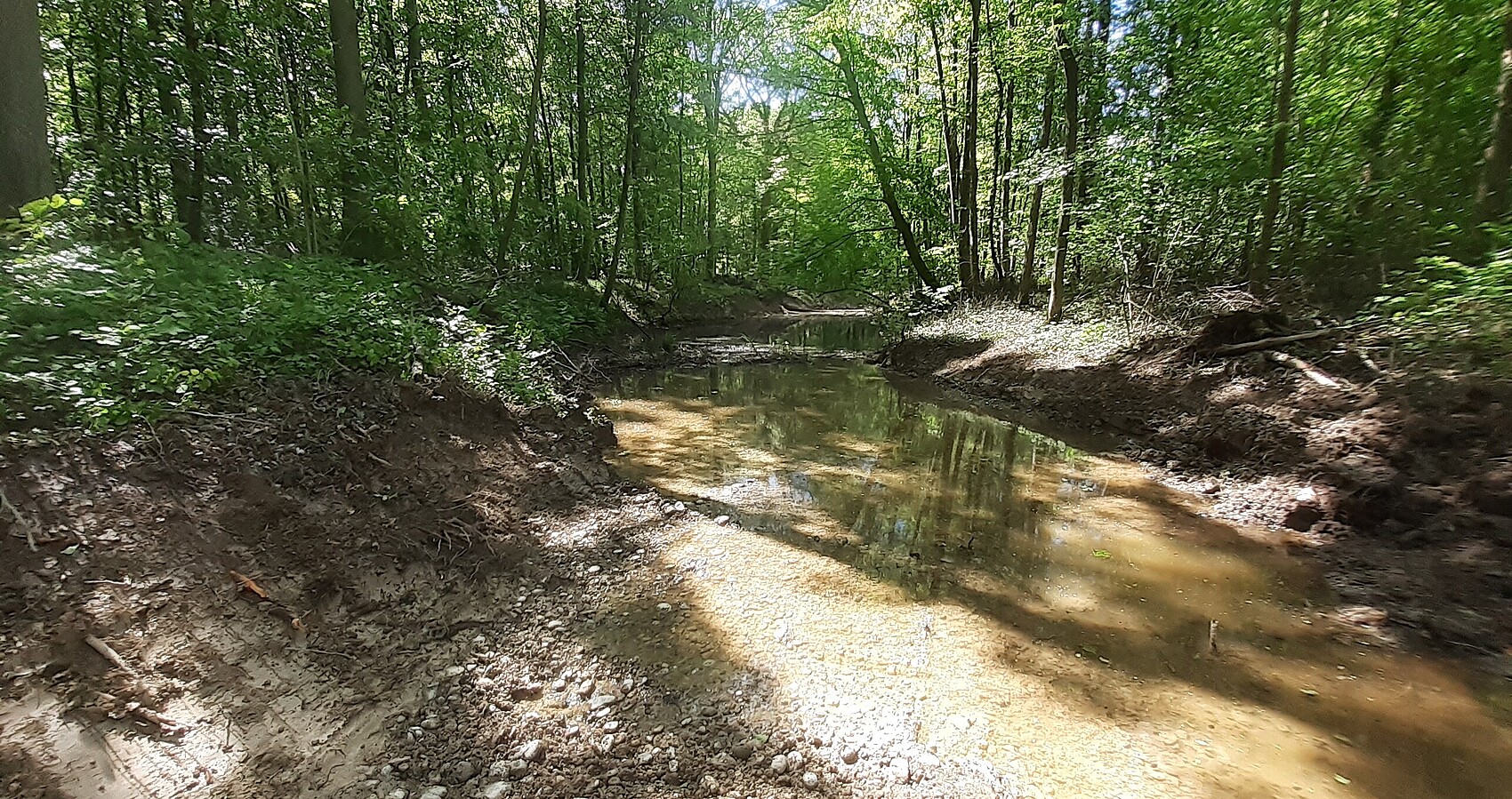 Ein Fließgewässer im Wald