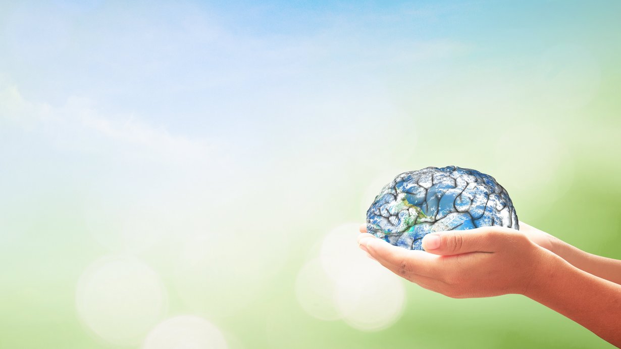 Zwei Hände halten ein durchsichtiges Gehirn