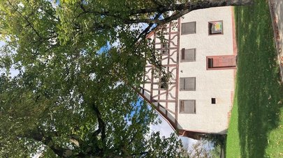 Vorderansicht des Hauses mit einem Baum davor