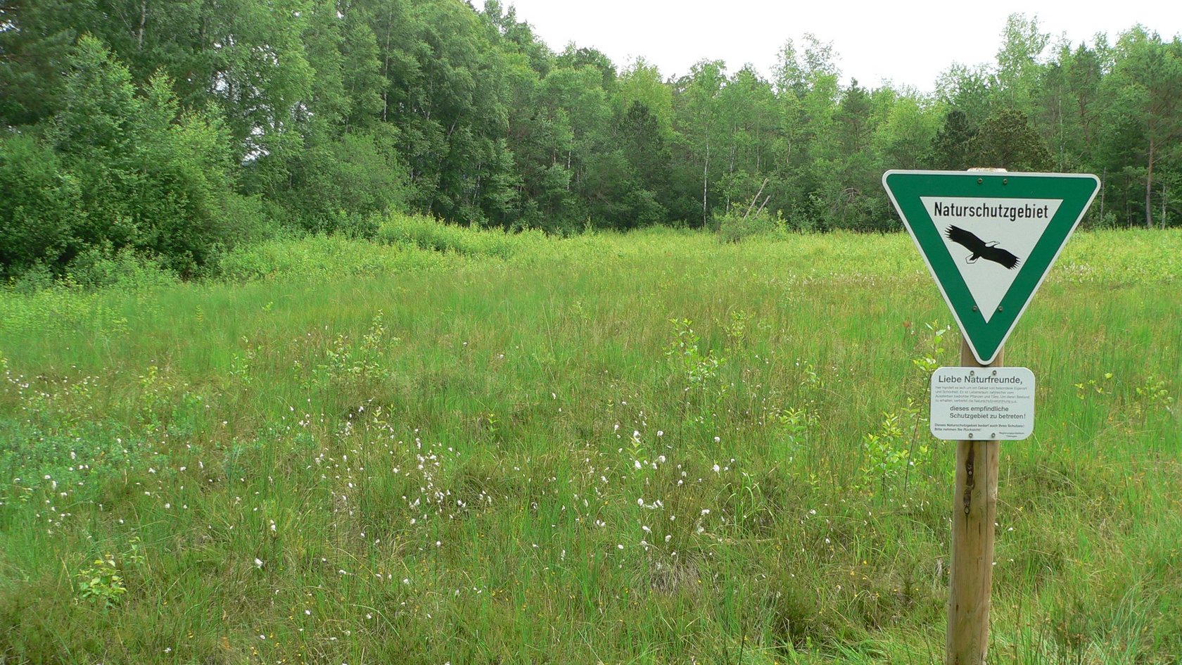 Blick in ein Naturschutzgebiet, im Vordergrund steht das NSG-Schild