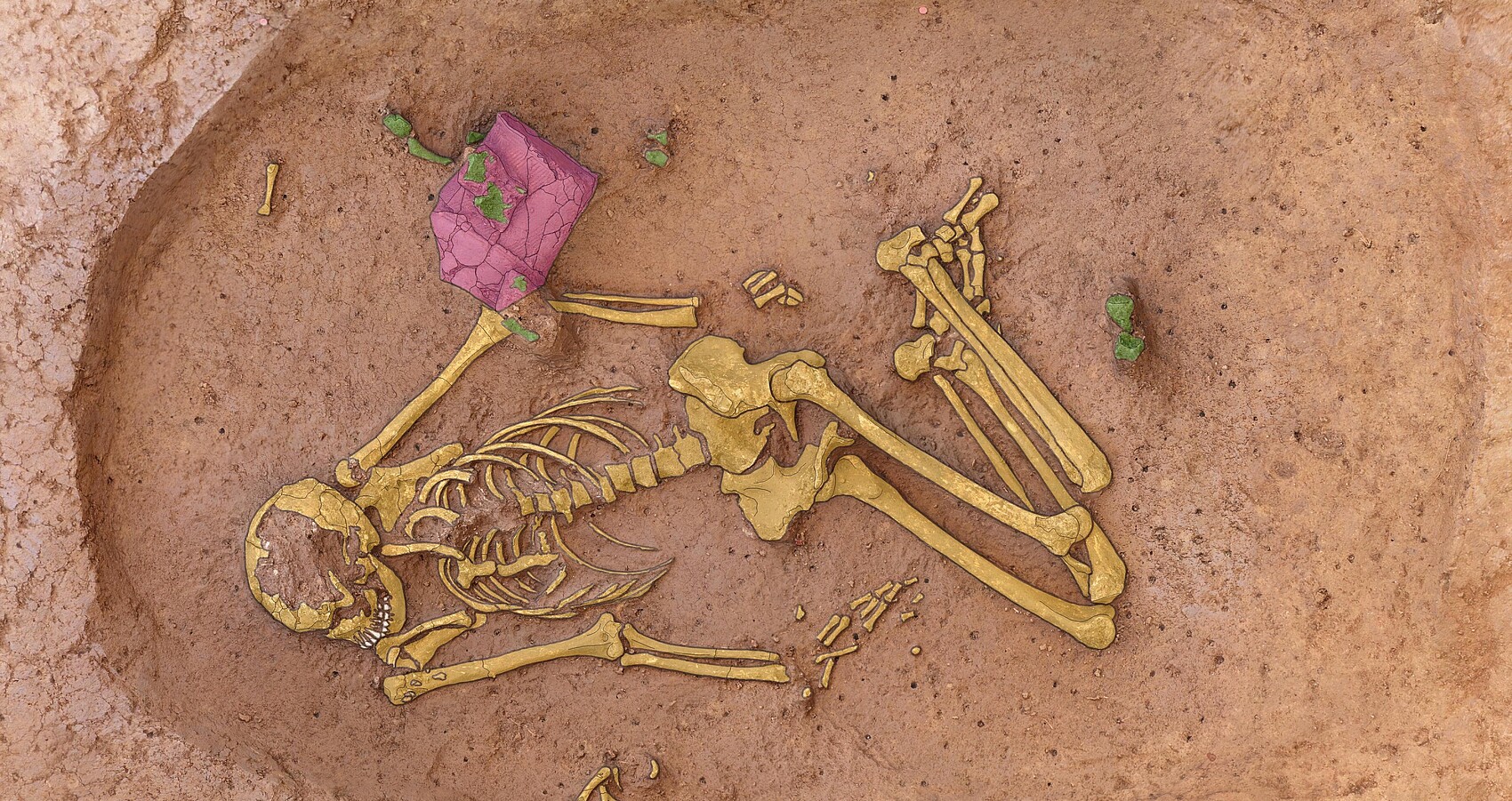 Bild zeigt ein Skelett in der Erde liegend