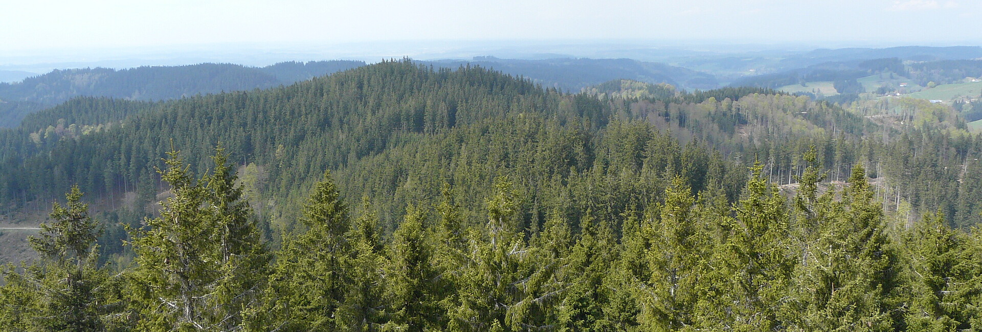Blick auf die bewaldete Berglandschaft Adelegg