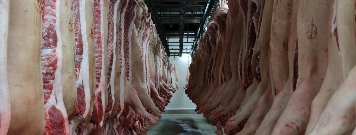 Blick in das Schlachthaus