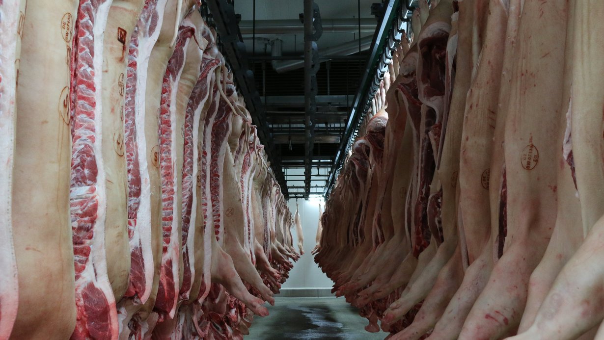 Blick in das Schlachthaus