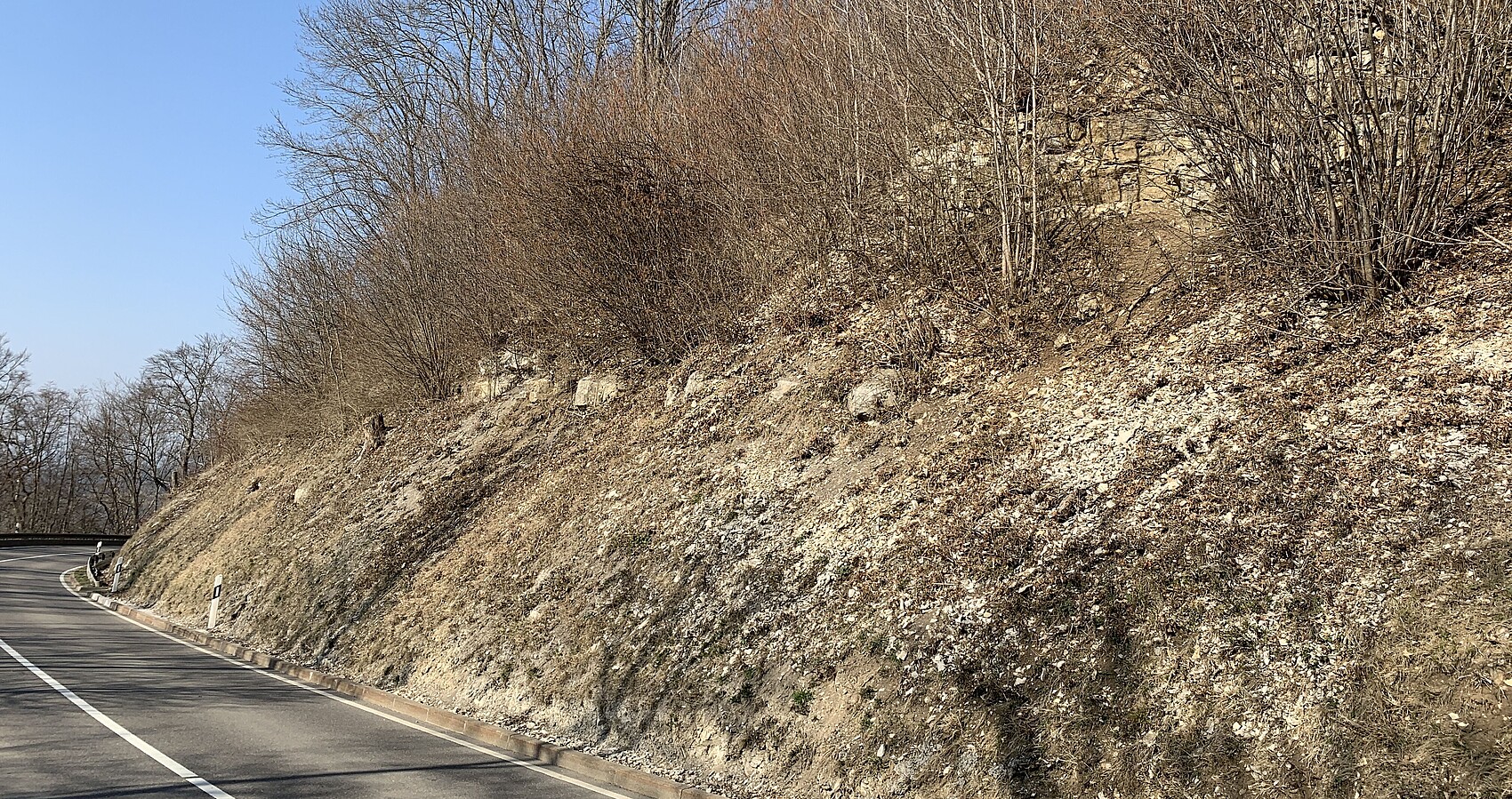 Das Bild zeigt ein Teilstück der Talheimer Steige vor einer Kurve; rechts von der Straße ein steiler Hang