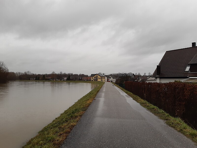 Hochwasserdamm bei Plittersdorf. Links steht das Hochwasser fast bis zur Dammkrone an. Rechts sieht man die Bebauung, die hier sehr nah am Damm ist. 