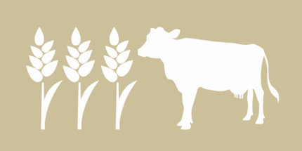 Symbolbild Anbau-Tierhaltung - Getreide und eine stilisierte Kuh auf beigem Untergrund