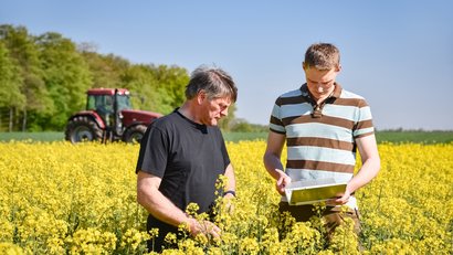 Ein älterer und ein junger Mann stehen in einem blühenden Rapsfeld und betrachten die Blüten. Im Hintergrund sieht man einen Traktor.