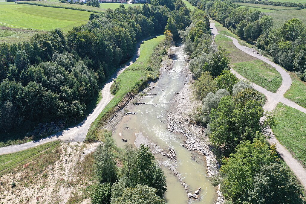 Blick auf einen naturnahen Uferbereich der Argeb. Der Fluss wird von Gehölzen umrahmt.