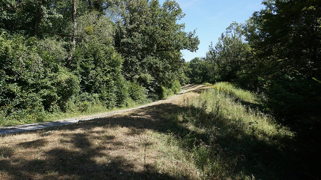 Bestehender Tulladamm (späterer Absperrdamm RHWD XXVI) mit Blick Richtung Norden. 