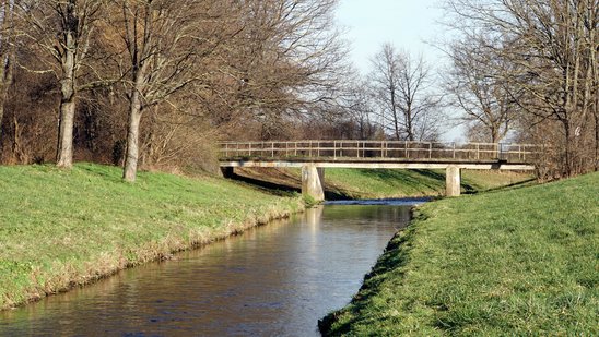 Ein gerade fließender Fluss fließt durch die Landschaft. Im Hintergrund sind eine Brücke und Bäume zu sehen. Die Ufer isnd gemäht und artenarm.