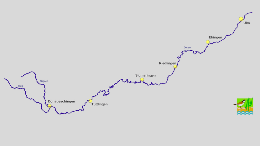 Karte mit Flüssen und Städten entlang der Donau auf grauem Hintergrund