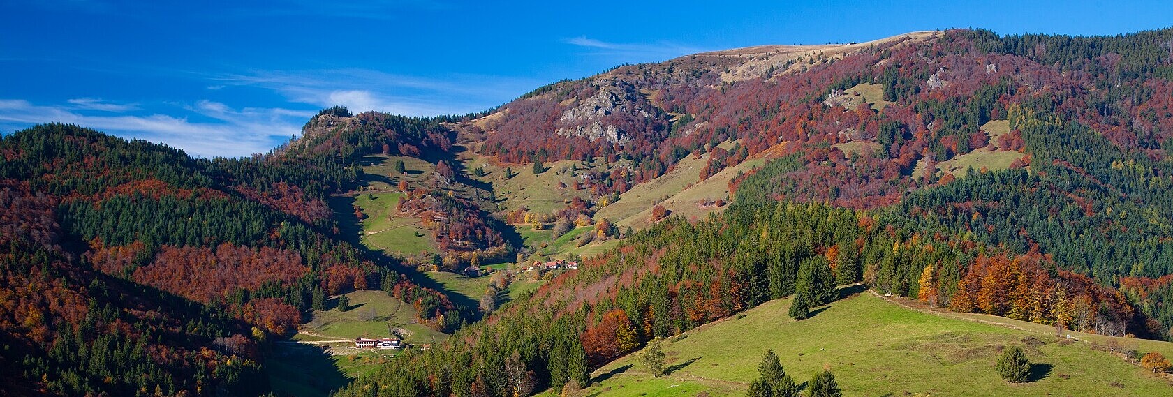 Schwarzwald-Landschaft