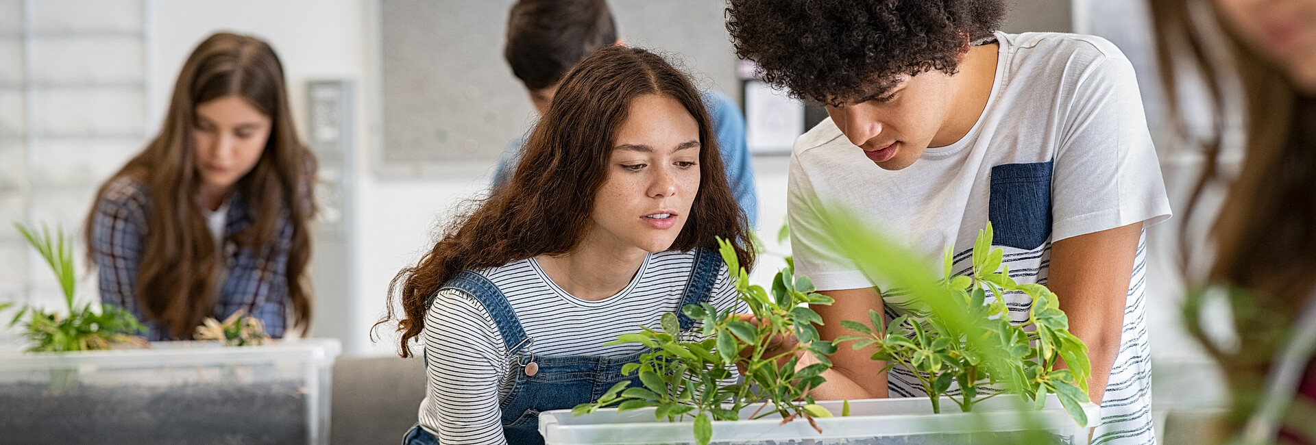 Man sieht eine Unterrichtssituation. Ein Junge und ein Mädchen blicken in eine Kiste mit Pflanzen.