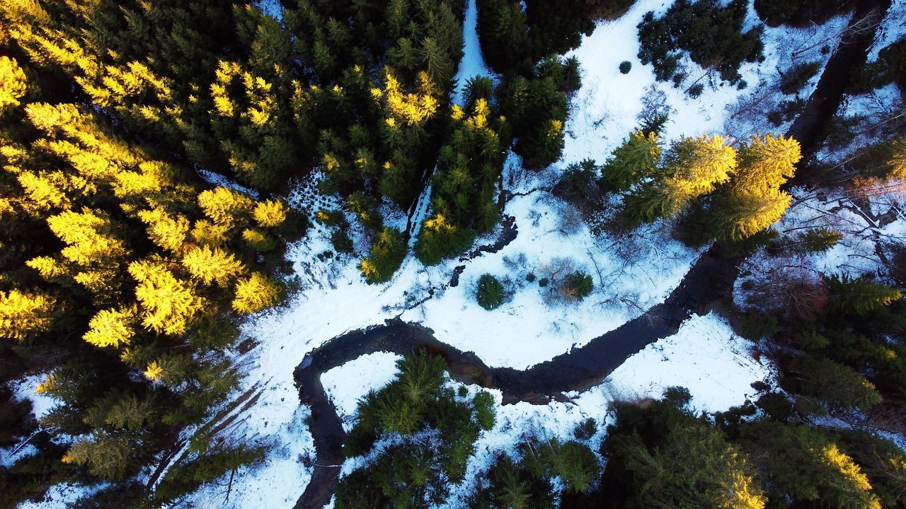 Luftbildaufnahme von einem Fluss, der durch einen Wald fließt im Winter