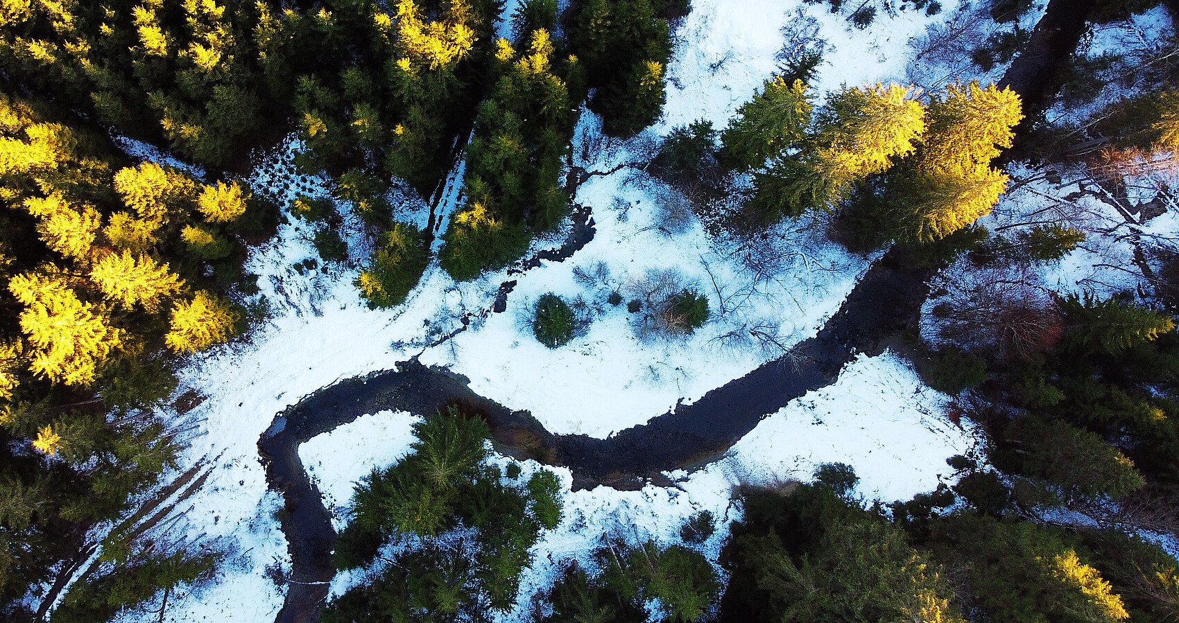 Luftbildaufnahme von einem Fluss, der durch einen Wald fließt im Winter