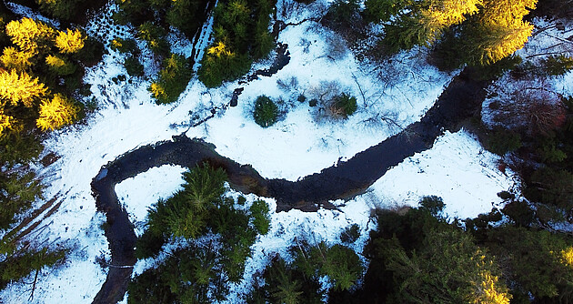 Luftbildaufnahme von einem Fluss, der durch einen Wald fließt im Winter