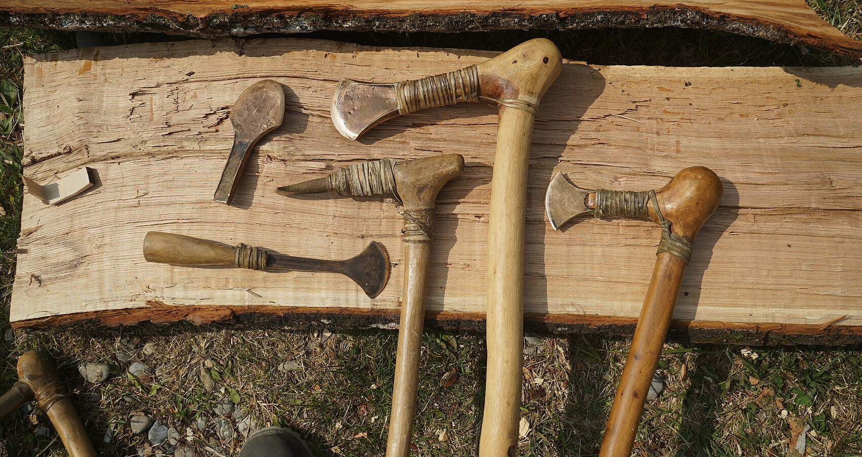 Mit Repliken von bronzezeitlichen Werkzeugen wird erprobt, wie belastbar die Werkzeuge sind, welche Spuren sie in den verschiedenen Holzarten hinterlassen und wie schnell sie nachgeschliffen werden müssen