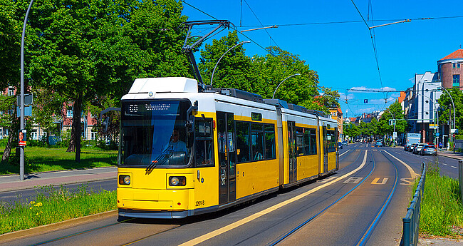 Straßenbahn - Öffentlicher Nahverkehr im Sommer mit grünen Bäumen