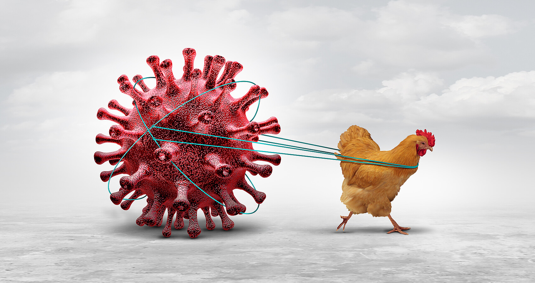 Bild zeigt vergrößerten Grippevirus den ein Huhn an einem Seil zieht