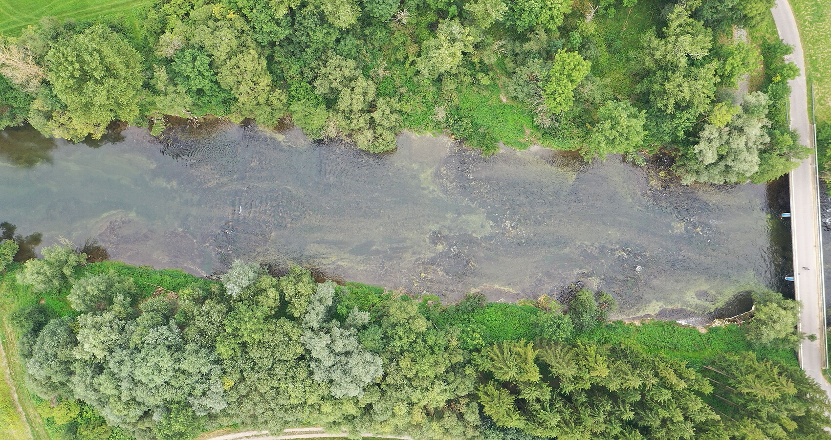 Drohnenbild; man sieht die Donau und die Beurener Brücke und Wälder von oben