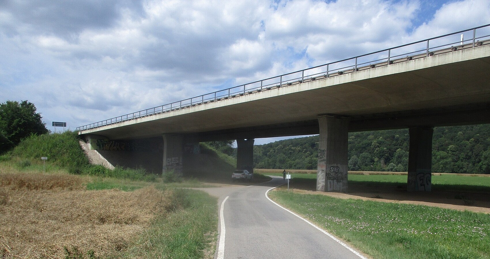 Das Bild zeigt die Neckartalbrücke von unten. Darunter führt eine Straße durch. Links und rechts von der Straße Wiesen