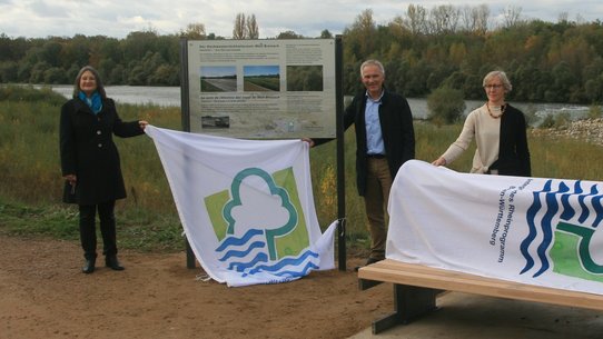 Infotafel zum Rückhalteraum Weil-Breisach