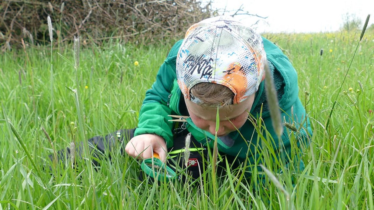 Kind liegt im Gras und entdeckt die Wiese mit einer grünen Lupe. Das Kind trägt eine bunte Mütze und eine grüne Jacke.