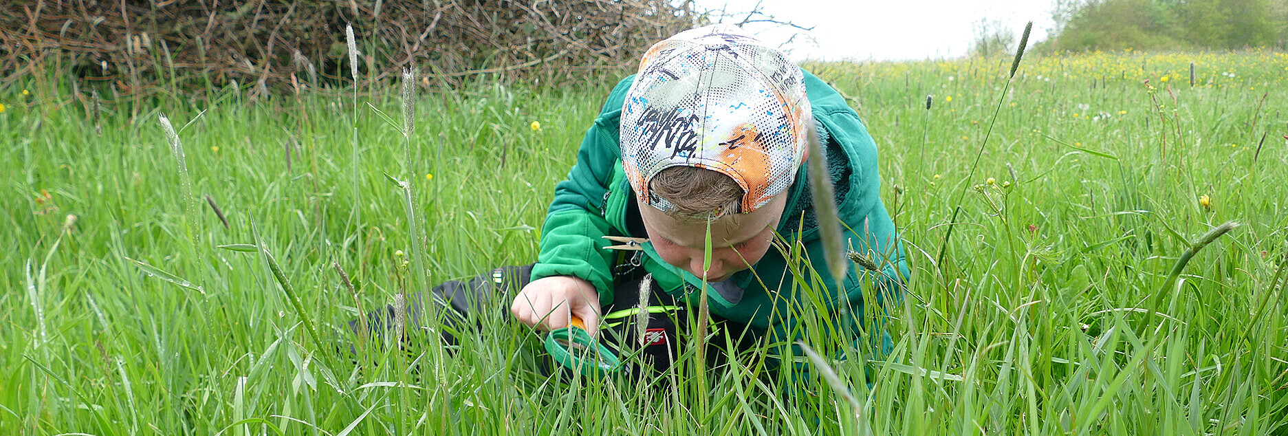 Kind liegt im Gras und entdeckt die Wiese mit einer grünen Lupe. Das Kind trägt eine bunte Mütze und eine grüne Jacke.