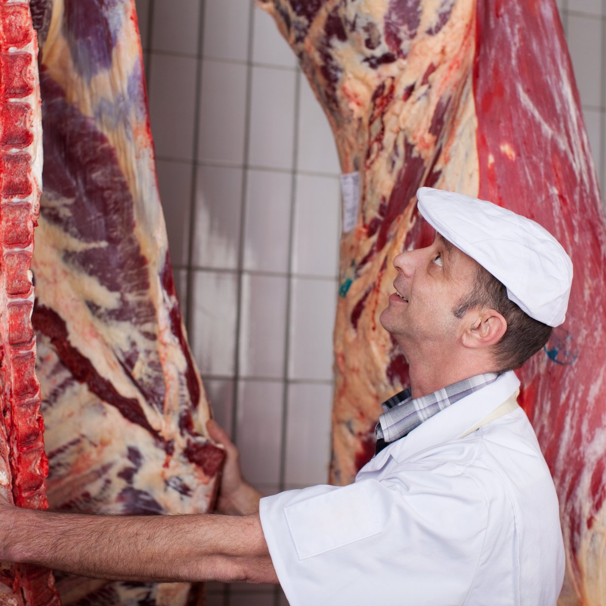 Schlachter prüft Qualität der Rinderhälften