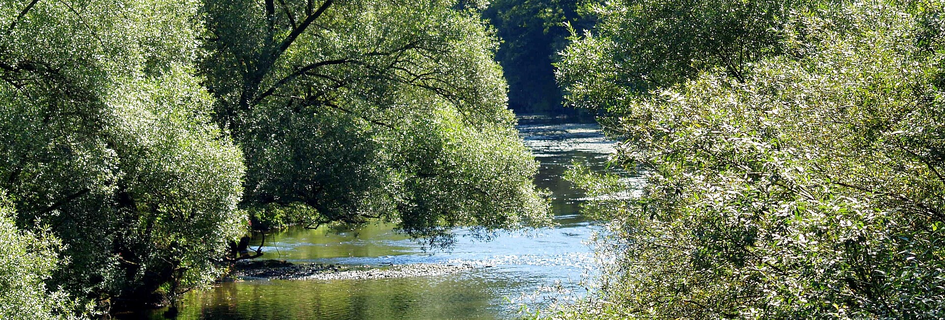 Flusslandschaft (Jagst - Klepsau)