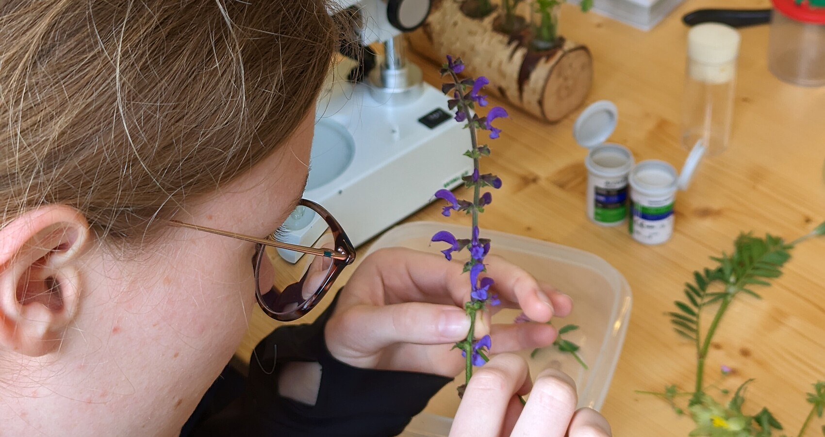 Ein Mädchen untersucht eine Pflanze im Ökomobil
