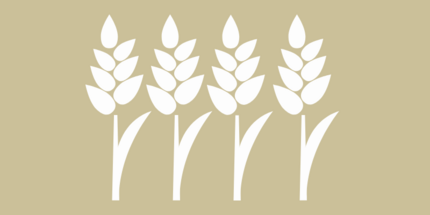 Symbolbild Getreide - weiße Getreideähren auf beigem Untergrund