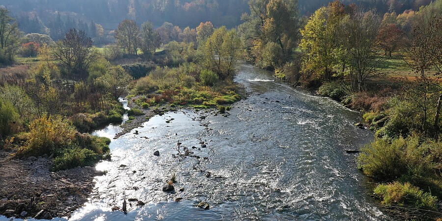 Neckar in Börstingen
