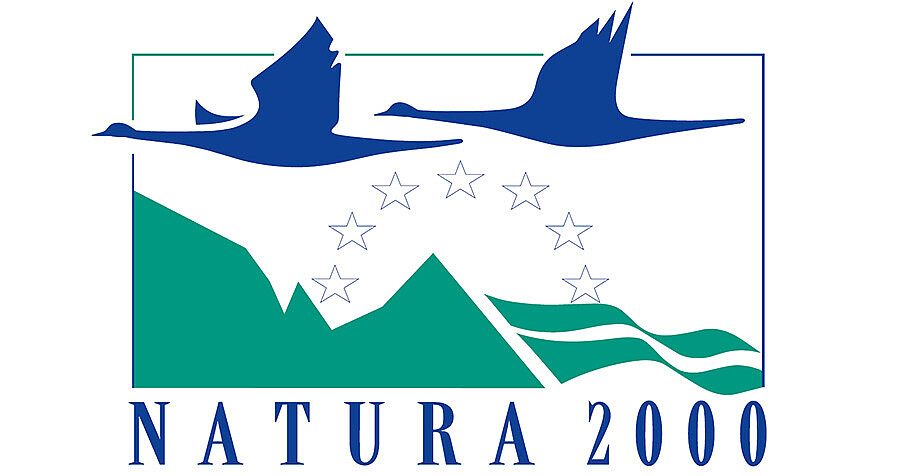 Gezeichnete blaue Wildgänse fliegen über grüne Berge und Wasser, darunter der Schriftzug "Natura 2000"