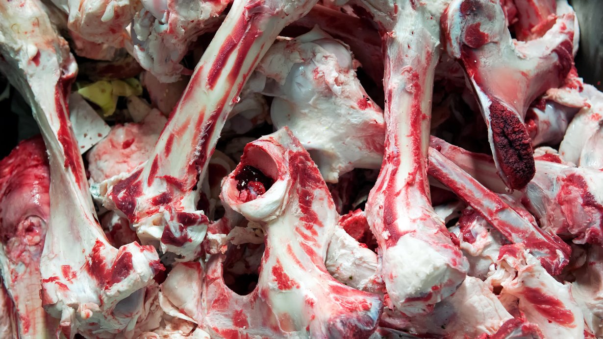 Schlachtabfälle aus Knochen und Fleisch