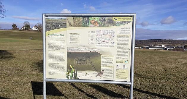 Bild zeigt eine Informationstafel im Naturschutzgebiet "Steinheimer Ried"" 