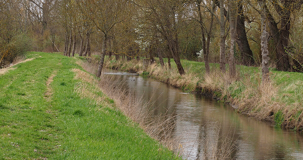 Auf dem Bild ist der Kraichbach im Winter zu sehen. Das Ufer geht vom Wasserspiegel aus direkt in Hochwasserdämme über. Am Wasser stehen einzelne Bäume. Hinter den Hochwasserdämmen schließen sich Weidengebüsche an. 