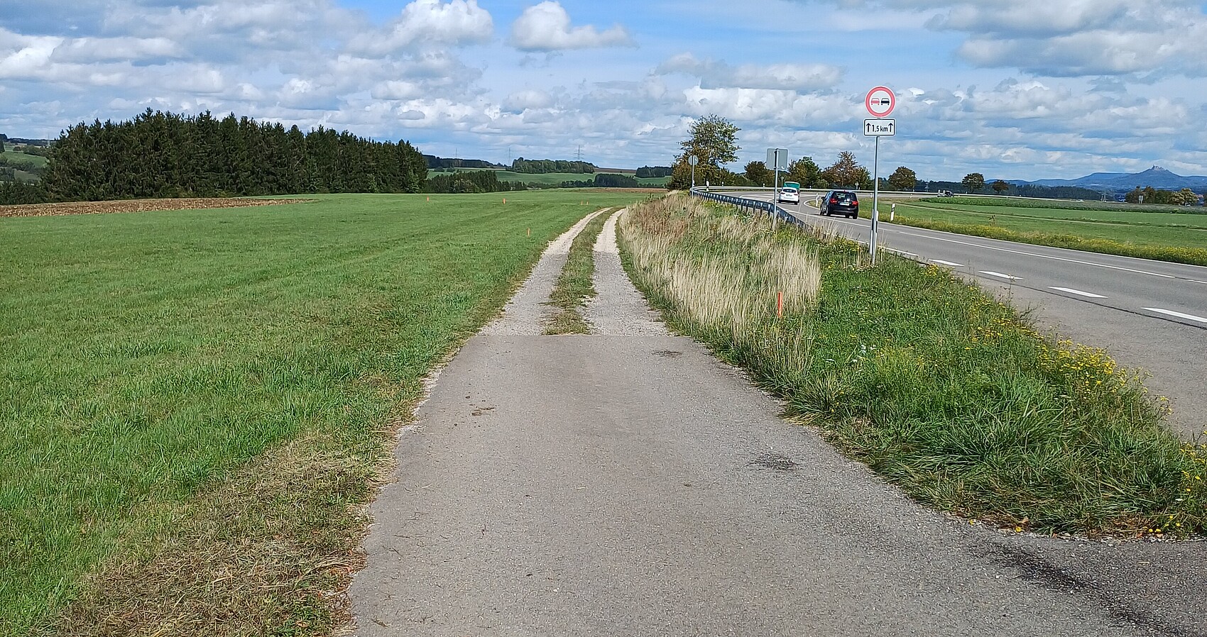Das Foto zeigt den Radweg der an der B 27 bei Dotternhausen entlang führt. Links und rechts Wiesen und im Hintergrund mehrere Waldstücke. Rechts im Hintergrund die Burg Hohenzollen