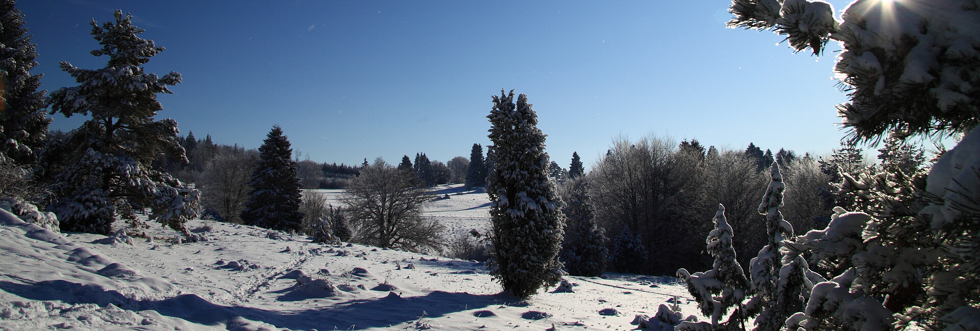 Blick auf eine verschneite Winterlandschaft