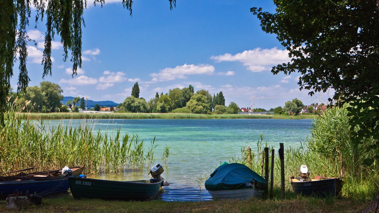 Bodenseeufer im Sommer