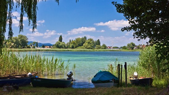 Bodenseeufer im Sommer
