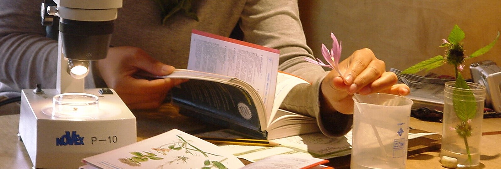 Eine Jugendiche hält eine pflanze in der Hand und ein Bestimmungsbuch.