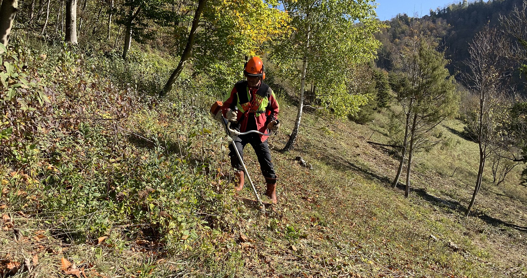 Bild zeigt einen Mitarbeiter des Landschaftspflegetrupps beim Schneiden von Gehölz
