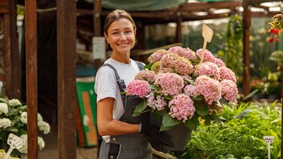 Eine Frau steht mit einer Hortensie ineiner Gärtnerei