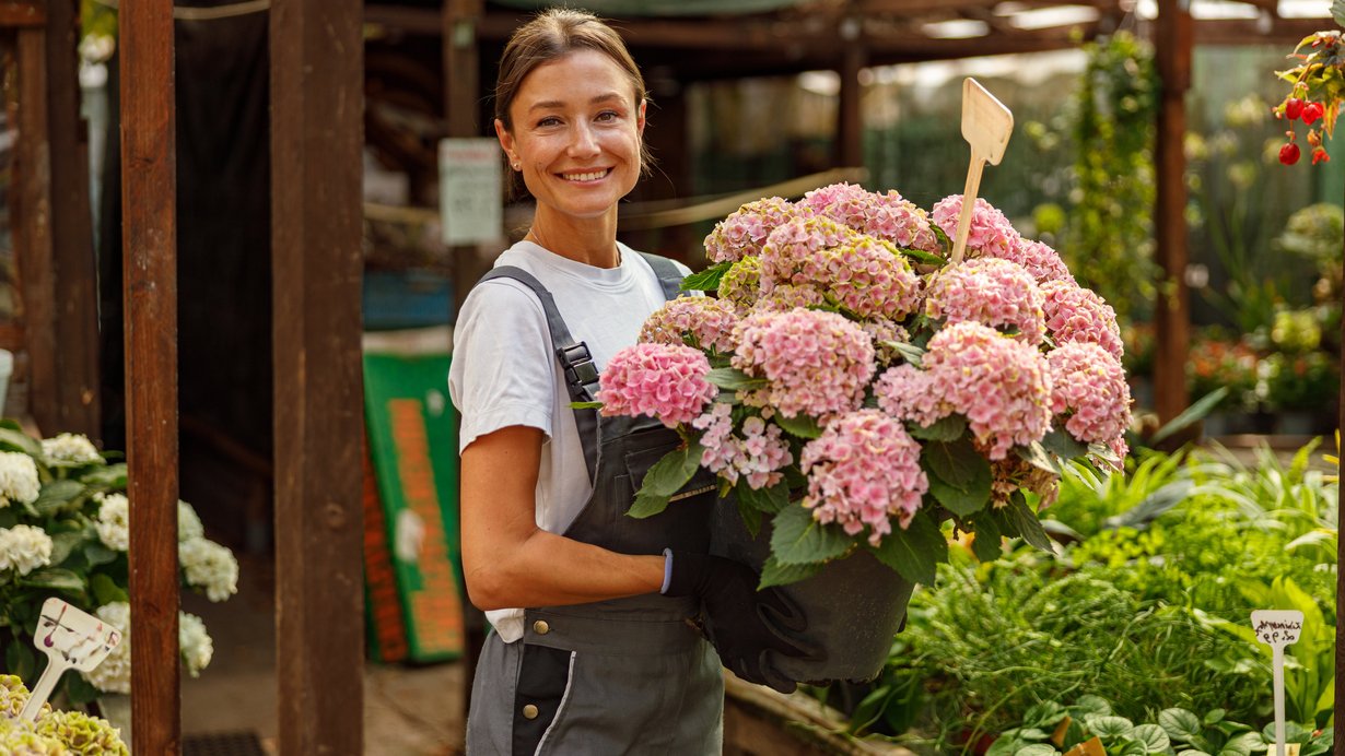 Eine Frau steht mit einer Hortensie ineiner Gärtnerei