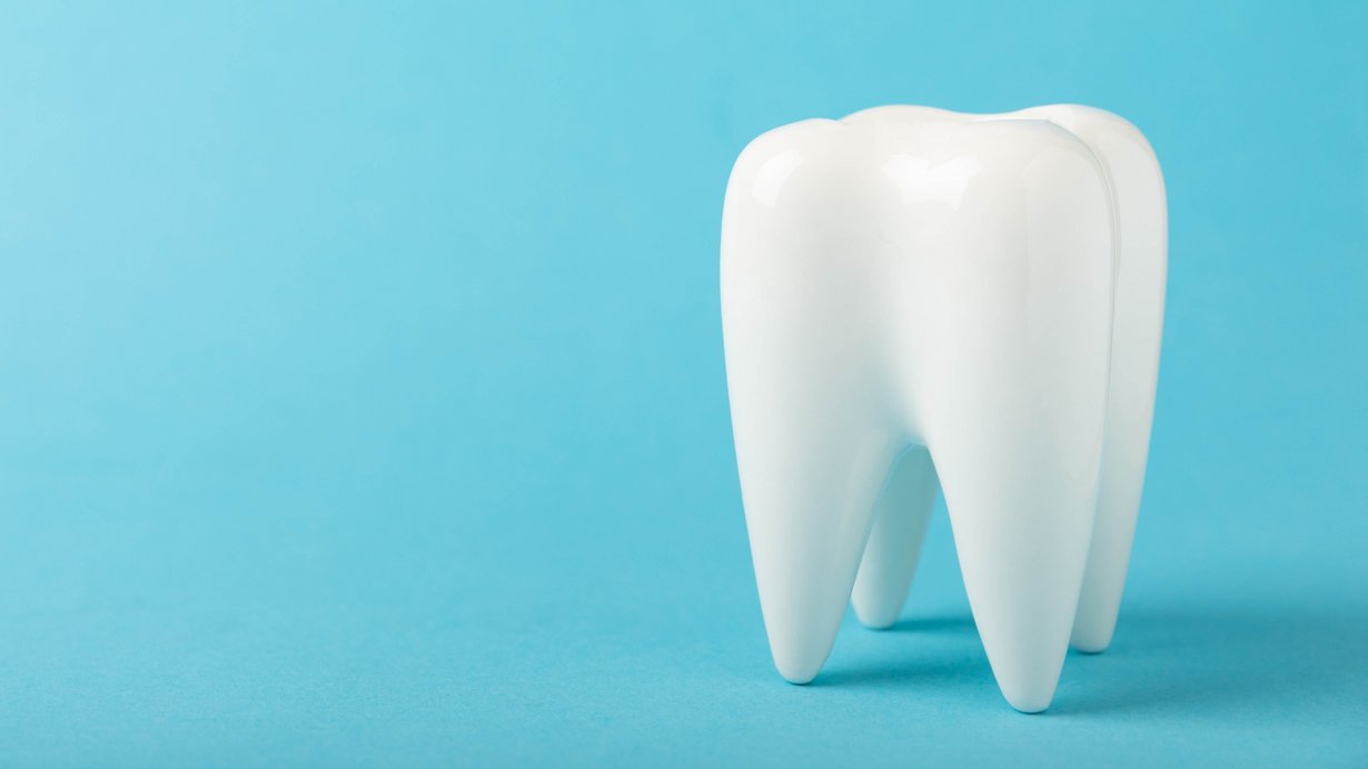 Bild zeigt Keramikmodell eines Backenzahns vor blauem Hintergrund